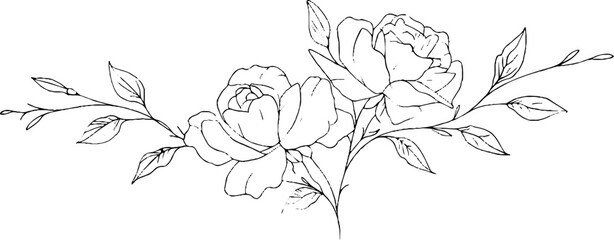 Elegant minimalist line art border of rose blooms for design projects