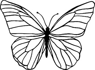 Minimalist butterfly line art illustration for aesthetic design and decor