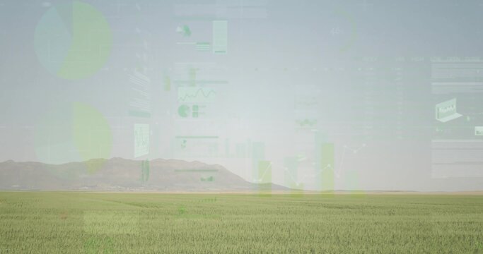 Fototapeta Displaying grassy field stretching toward distant mountain range under pale sky, with data overlays