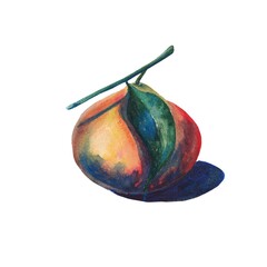 Mandarins on a branch with leaves in watercolor on a white background
