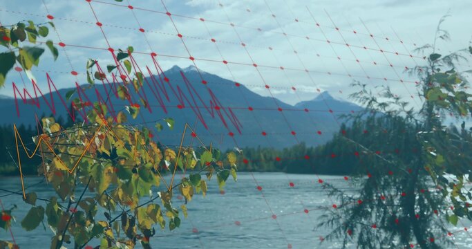 Fototapeta Displaying leafy shrub with yellow green leaves at lakeside with red-dot mesh overlay, copy space