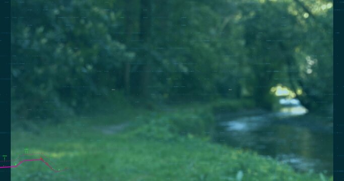 Fototapeta Shallow stream flowing in grassy forest clearing under canopy filtering light, copy space