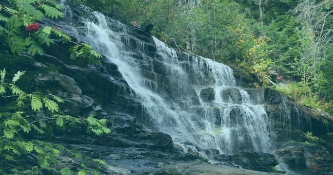 Fototapeta Flowing waterfall tumbling over layered rock ledges in forest stream, with moss and red berries