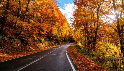 Obraz premium Autumn road winding through vibrant forest