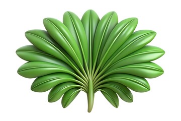 Obraz premium green leaf isolated on white background