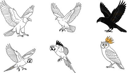 Vector illustrations of flying eagle, dove, raven, parrot, and owl with detailed feathers, wings, and colorful accents in black and white.