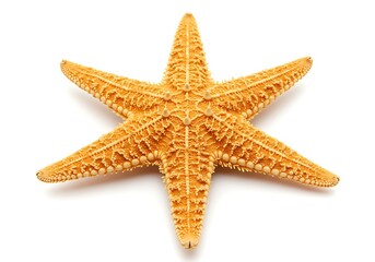 "Top View of Orange Starfish on White Background – Marine Life Concept"