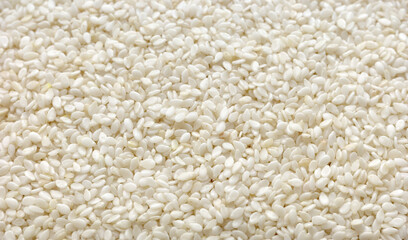 Close up photo of sesame seeds, selective focus.
