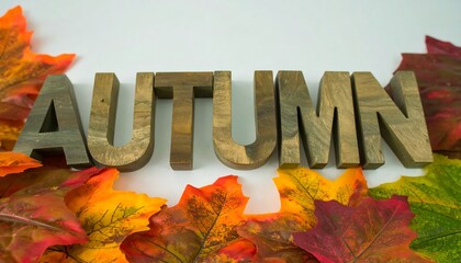 Wooden Autumn letters surrounded by fall leaves