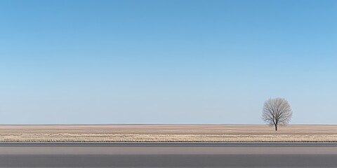 Solitary bare tree stands in a vast open field under a clear blue sky with a road in the foreground