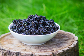 Blackberries in a bowl on a stump in the garden.