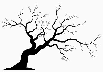 Silhouette of a gnarled bare tree against a white background