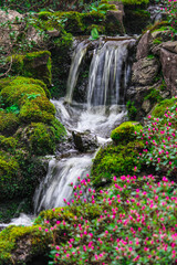 waterfall in the forest