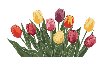 A vibrant spring bouquet of colorful tulips in full bloom celebrating the season of renewal