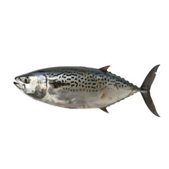 Naklejka premium 銀色と黒色の斑点のある魚の横向きショットと白い背景