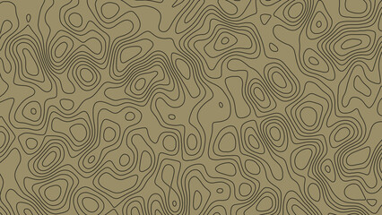 Topographic Contour Line Map Background – Elevation Grid Design