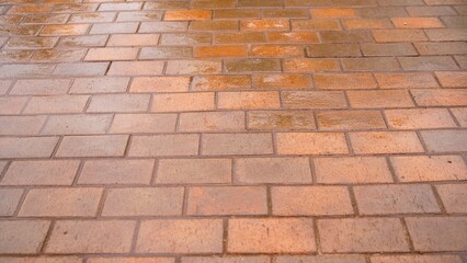 Wet brick pavement reflecting sunlight after rain