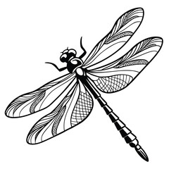 Monochrome silhouette of a detailed dragonfly in flight elegant insect vector art