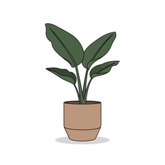 A simple illustration of a potted plant with large green leaves against a white background in a pot
