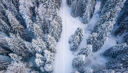 overhead shot of a beautiful snow covered forest with a clear pathway through the white landscape