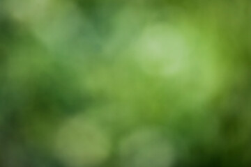 TEXTURAS Y FONDOS FOTOGRAFIA