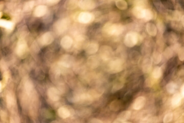 TEXTURAS Y FONDOS FOTOGRAFIA