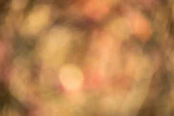 TEXTURAS Y FONDOS FOTOGRAFIA