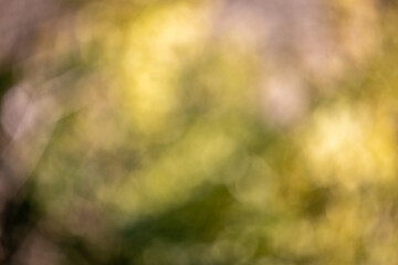 TEXTURAS Y FONDOS FOTOGRAFIA