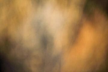 TEXTURAS Y FONDOS FOTOGRAFIA