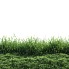 Fototapeta premium Vibrant green grass patch with lush blades under natural sunlight for outdoor environments