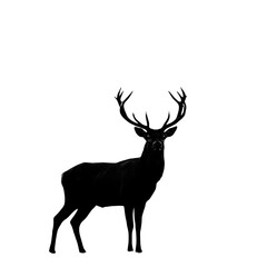 Single vector black Flat Vector Illustration of Deer Buck Silhouette, antlers, christmas