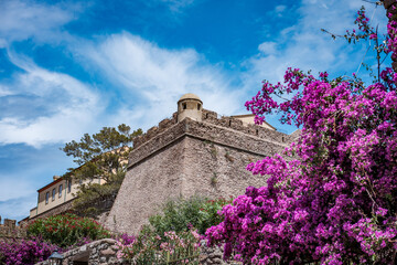 Blooming bougainvillea brightens the historic Forte San Giorgio, a fortress overlooking the scenic Capraia Isola in the Tuscan Archipelago under a clear blue sky