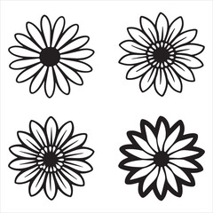 A Sunny Portrait of a Dimorphotheca Flower, an Elegant and Delicate Bloom with a Daisy-Like Shape, Perfect for a Garden or as a Cut Flower Arrangement