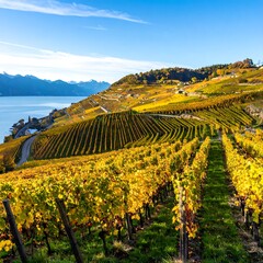 Autumn vineyard landscape by a lake
