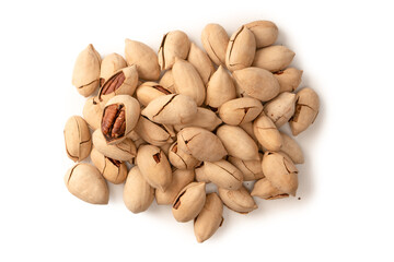 Pecan-nut in a shell isolated on white background. Top view.