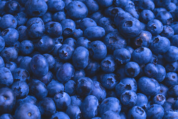 Fresh blueberry background. Texture blueberry berries close up.