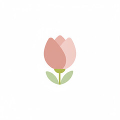 A beautiful pink tulip flower, symbolizing beauty, love, and the arrival of spring.

