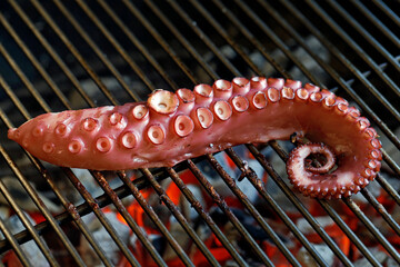 large octopus tentacle on the grill grate over glowing charcoal on the grill, close up of grilled octopus, seafood bbq