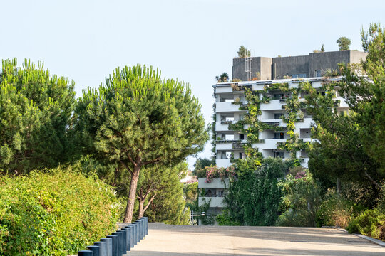 Pathway leading to modern apartment buildings in Montpellier, France, reflecting community lifestyle, eco housing and contemporary Mediterranean urban identity