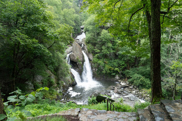Peaceful waterfall surrounded by green forest and stone steps. Perfect for travel, wellness, and nature backgrounds. Captures tranquility and fresh wilderness atmosphere.