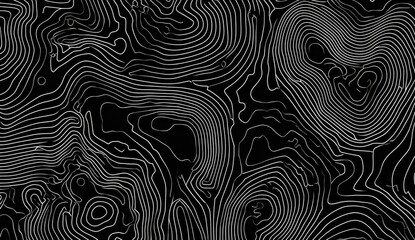 Abstract topographic map design.  Complex network of curved lines in varying thicknesses against a black background creates a sense of depth and undulating forms