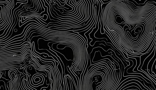 Abstract topographic map design.  Complex network of curved lines in varying thicknesses against a black background creates a sense of depth and undulating forms