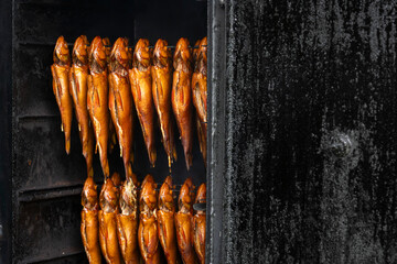 Hot smoked  perch fish close up. Smoked fish (perch) in a smokehouse.