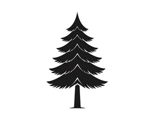 Fototapeta premium Silhouette of a pine tree