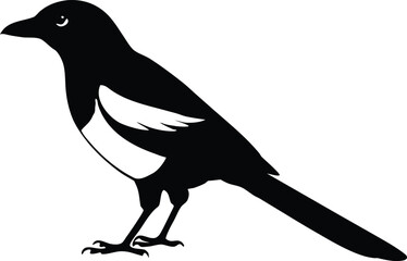 magpie bird silhouette vector illustration
