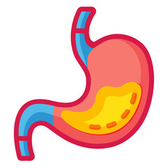 Obraz premium Human stomach diagram illustrating digestive system and anatomy, perfect for medical, educational, and healthcare content, offering a vibrant and clear visual aid for presentations and publications.