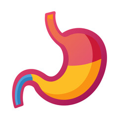 Vibrant and detailed illustration of a healthy human stomach, perfect for medical education, health-related websites, and educational materials, showcasing digestive system anatomy.