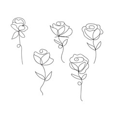 Simple line art roses collection hand drawn floral design elements white background