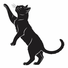 Jumping Cat Illustration
