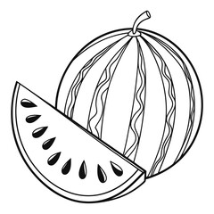 vector illustration of a ripe melon